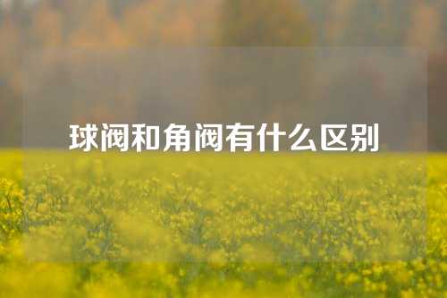 球阀和角阀有什么区别