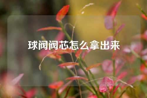 球阀阀芯怎么拿出来