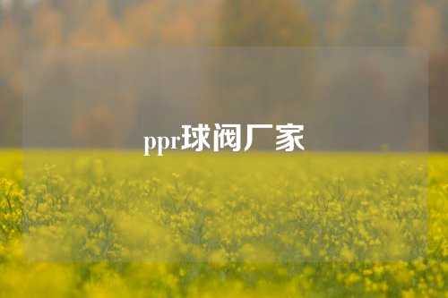 ppr球阀厂家