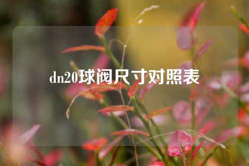 dn20球阀尺寸对照表