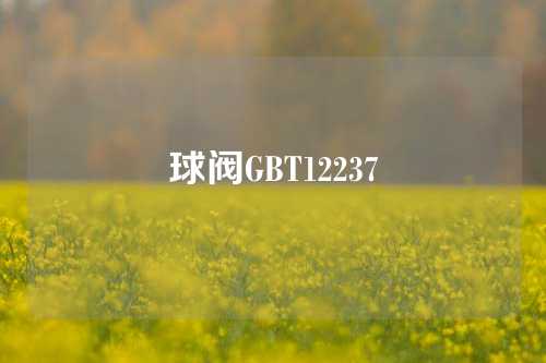 球阀GBT12237