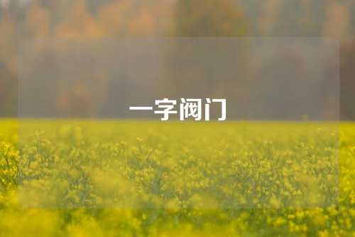 一字阀门