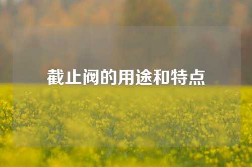 截止阀的用途和特点