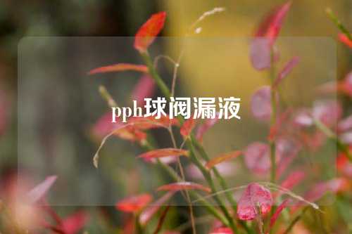 pph球阀漏液