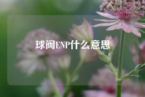 球阀ENP什么意思