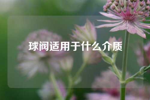 球阀适用于什么介质