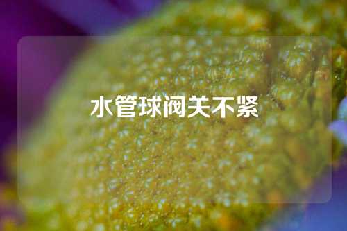 水管球阀关不紧