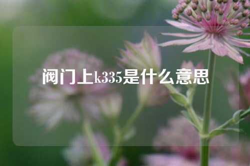 阀门上k335是什么意思