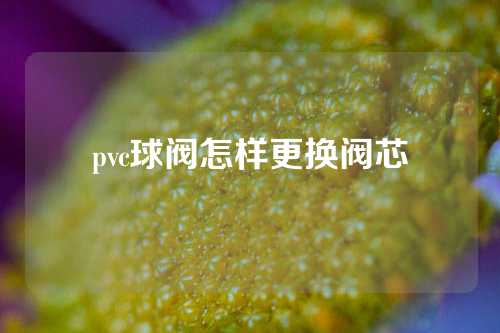 pvc球阀怎样更换阀芯