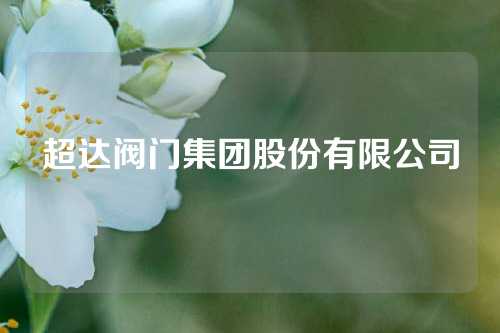 超达阀门集团股份有限公司