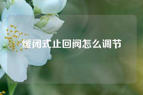 缓闭式止回阀怎么调节