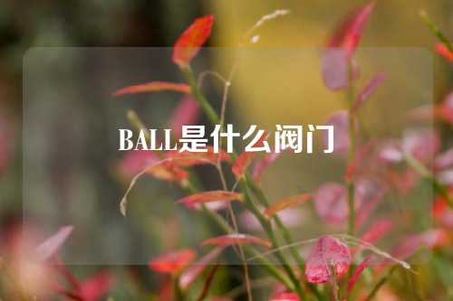 BALL是什么阀门