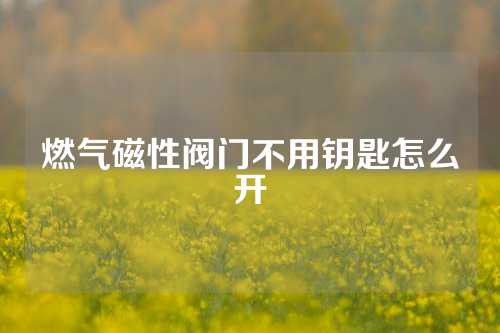 燃气磁性阀门不用钥匙怎么开