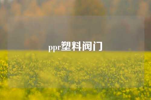 ppr塑料阀门