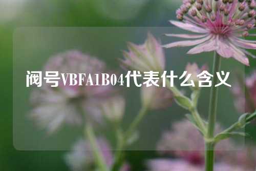 阀号VBFA1B04代表什么含义