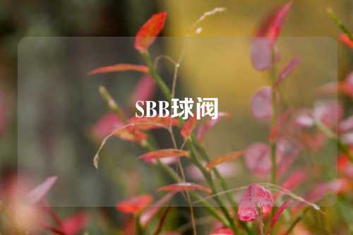 SBB球阀