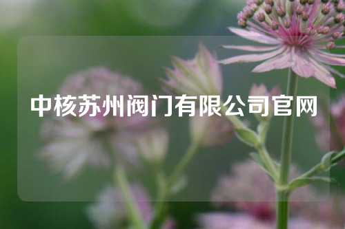 中核苏州阀门有限公司官网