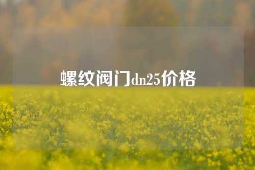 螺纹阀门dn25价格