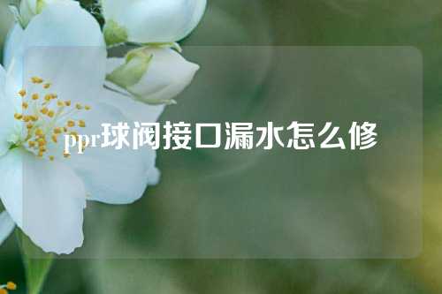 ppr球阀接口漏水怎么修