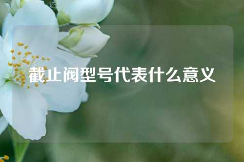 截止阀型号代表什么意义