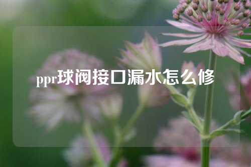 ppr球阀接口漏水怎么修