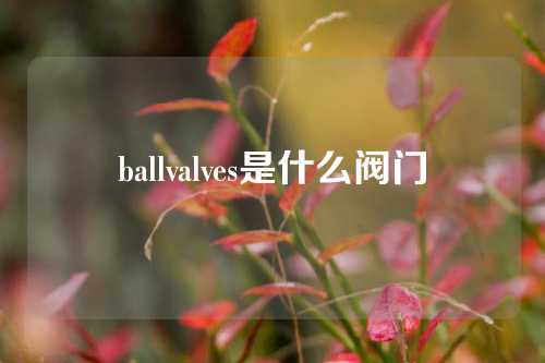 ballvalves是什么阀门