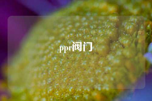 ppr阀门