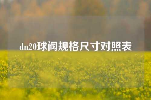 dn20球阀规格尺寸对照表