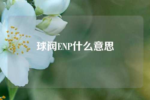 球阀ENP什么意思