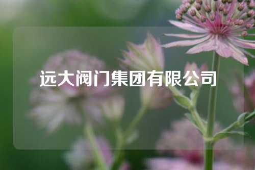 远大阀门集团有限公司