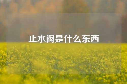 止水阀是什么东西