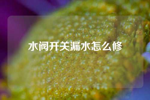 水阀开关漏水怎么修