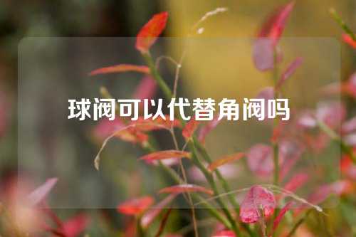 球阀可以代替角阀吗