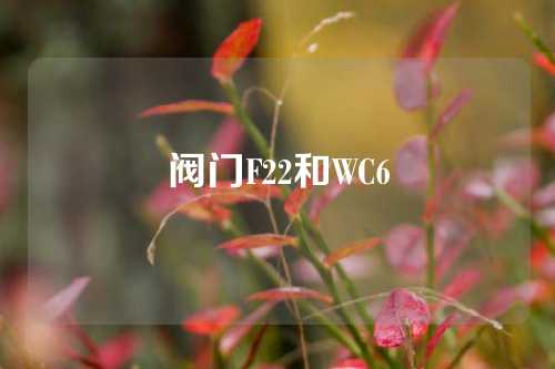 阀门F22和WC6