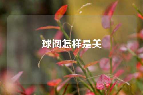 球阀怎样是关