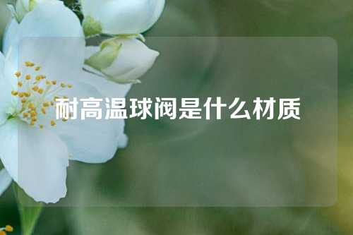 耐高温球阀是什么材质