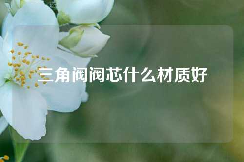 三角阀阀芯什么材质好