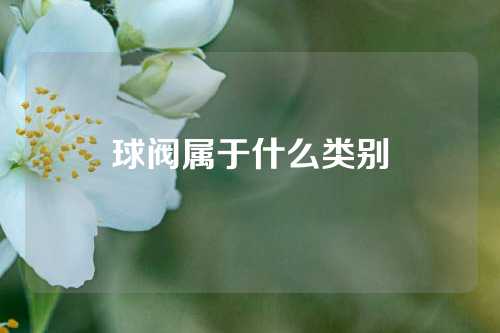 球阀属于什么类别