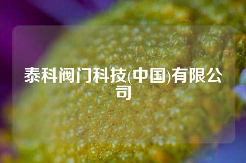 泰科阀门科技(中国)有限公司