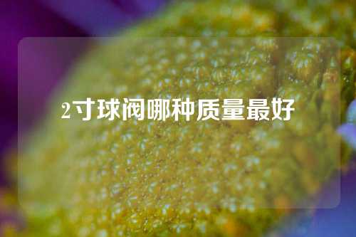 2寸球阀哪种质量最好