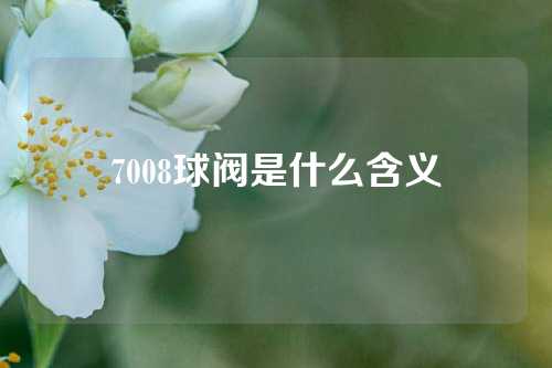 7008球阀是什么含义