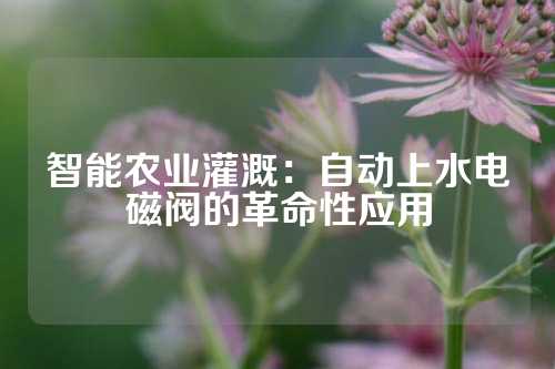 智能农业灌溉：自动上水电磁阀的革命性应用