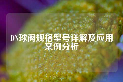 DN球阀规格型号详解及应用案例分析