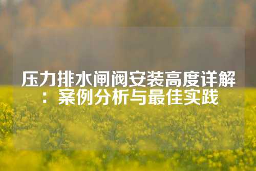 压力排水闸阀安装高度详解：案例分析与最佳实践