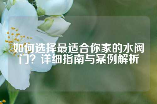 如何选择最适合你家的水阀门？详细指南与案例解析