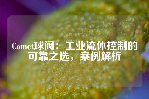 Comet球阀：工业流体控制的可靠之选，案例解析