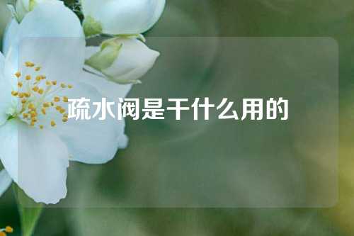 疏水阀是干什么用的