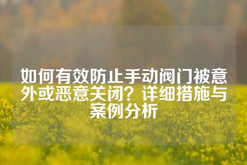 如何有效防止手动阀门被意外或恶意关闭？详细措施与案例分析