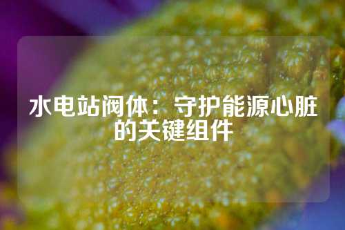 水电站阀体：守护能源心脏的关键组件