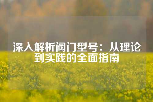 深入解析阀门型号：从理论到实践的全面指南